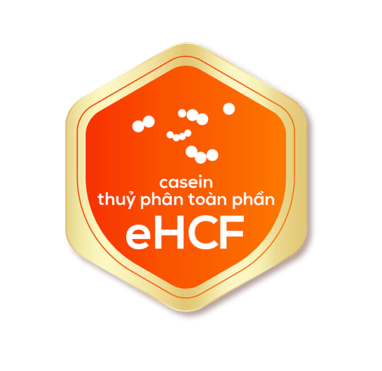 eHCF_logo