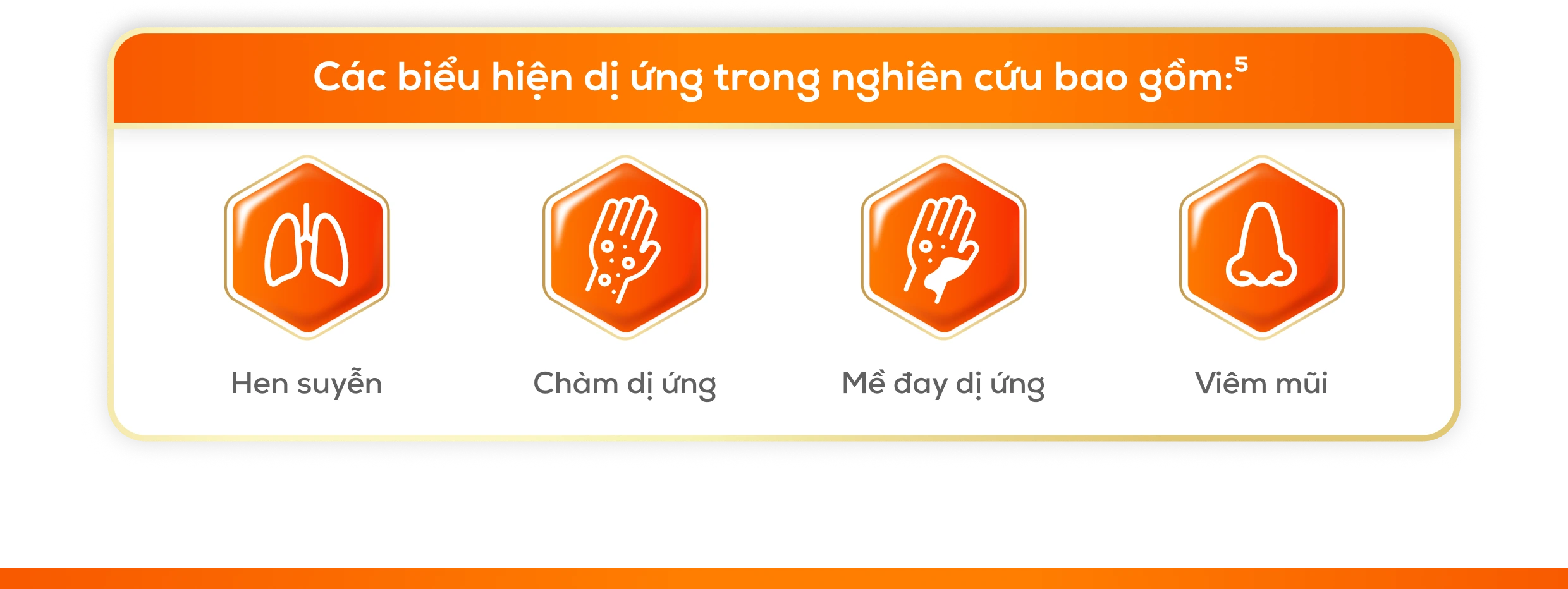 combie-lgg